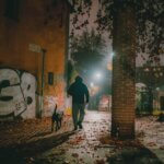 Zoomies in the Night: Why Does My Dog Have Sudden Bursts of Energy After Dark?