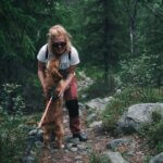Unleashing Adventure: Dog-Friendly Trails Near You for Tail-Wagging Fun