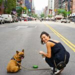 Traveling on Four Paws: Preparing Your Dog for a Smooth and Enjoyable Journey