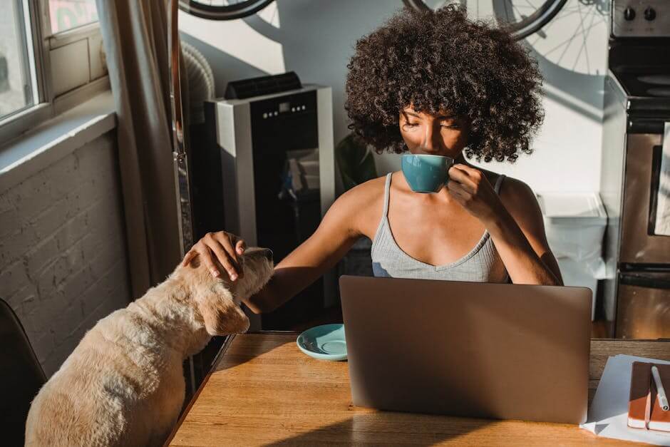 The Surprising Advantages of a Dog-Friendly Workplace for Both Employees and Employers