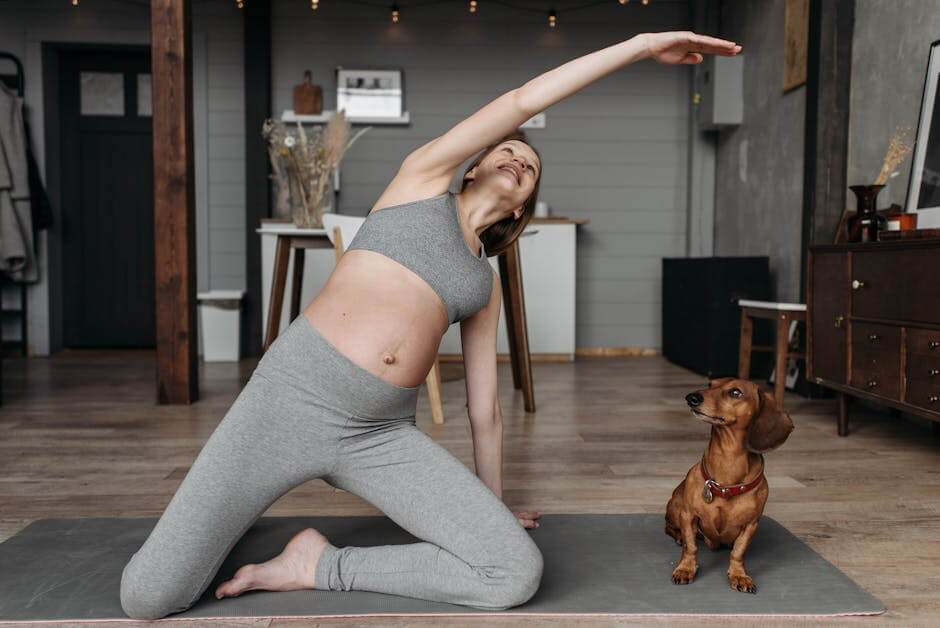 The Gift of Companionship: How Dogs Can Improve Your Mental and Physical Health