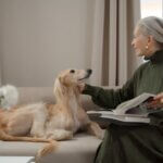 Senior Sizzle: Keeping Your Golden Oldie Active, Healthy, and Happy