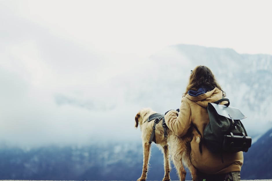 Unleashing Adventure: Dog-Friendly Hikes and Day Trips
